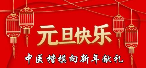 【喜迎元旦 特别报道】全国知名中医专家——夏孔彪