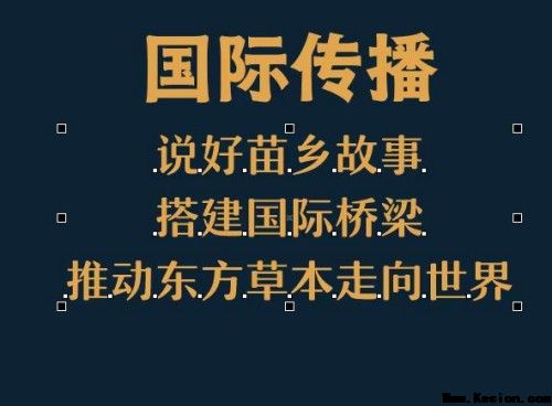 守正创新传瑰宝 苗医济世惠民生 —— 王开香与苗草铺子共筑民族医药新征程