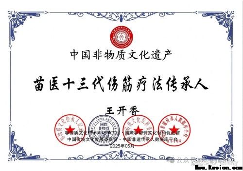 守正创新传瑰宝 苗医济世惠民生 —— 王开香与苗草铺子共筑民族医药新征程