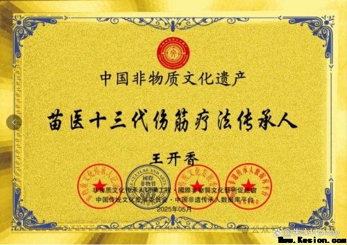 守正创新传瑰宝 苗医济世惠民生 —— 王开香与苗草铺子共筑民族医药新征程
