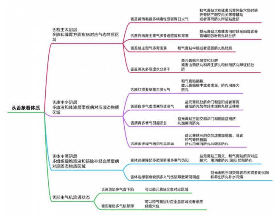 破千年传承之困，立生命医学新篇：王伟清与他的中医秩序革命