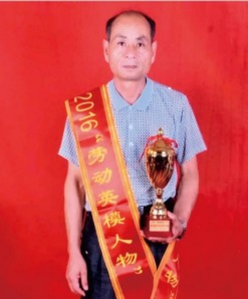 礼赞八一专题报道 著名国医大师---杨宗仙