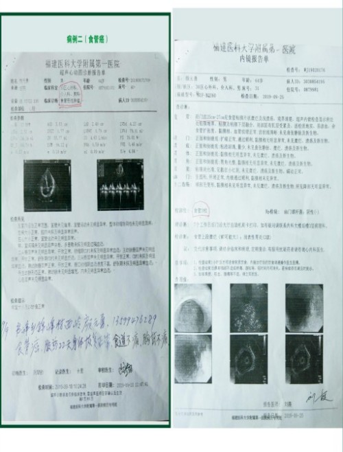 礼赞八一专题报道 著名国医大师---杨宗仙
