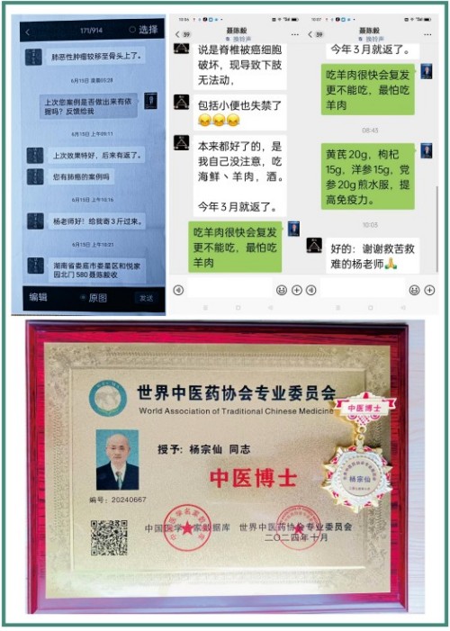 礼赞八一专题报道 著名国医大师---杨宗仙