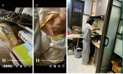 礼赞八一专题报道 著名国医大师---杨宗仙
