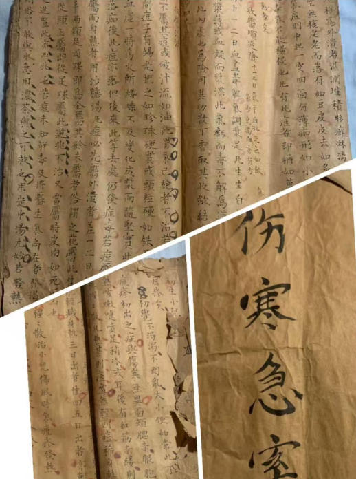 七代薪火守岐黄 记“杨金华头痛贴”第七代传承人崔金金