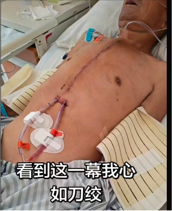 最具发展潜力的大健康项目一一心血管疾病养生素口服液