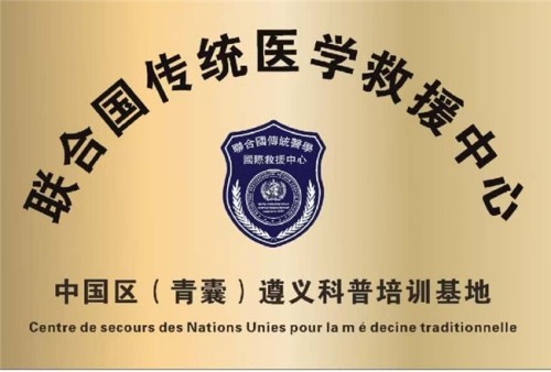 岐黄薪火永相传 仁心济世护苍生——专访国医泰斗刘恩国
