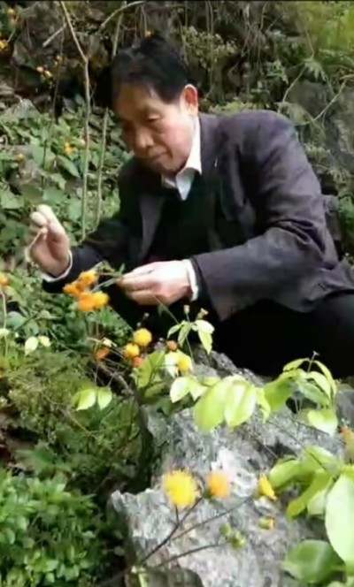 冠心病！世界医学研究难以治愈。中国发明！痊愈冠心病突破难关！