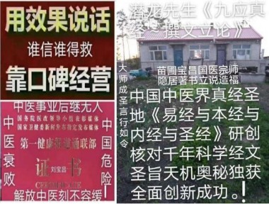 中医传国脉 岐伯济天下 访大国医者当代著名医学创新之父---刘宝昌