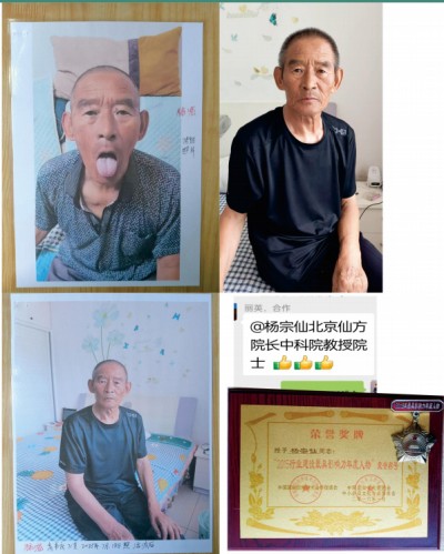 关爱生命：杨宗仙与仙防癌抗癌灭癌中医实践