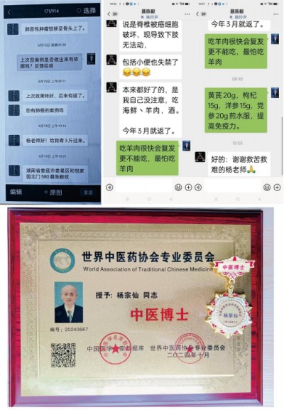 关爱生命：杨宗仙与仙防癌抗癌灭癌中医实践