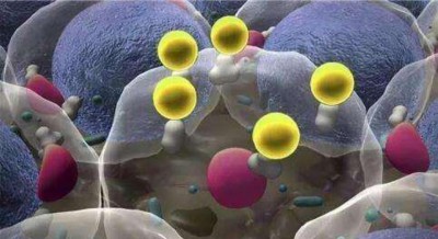 野生药用真菌自然医学体系 非药物疗法