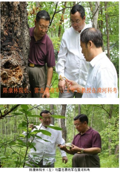 野生药用真菌自然医学体系 非药物疗法