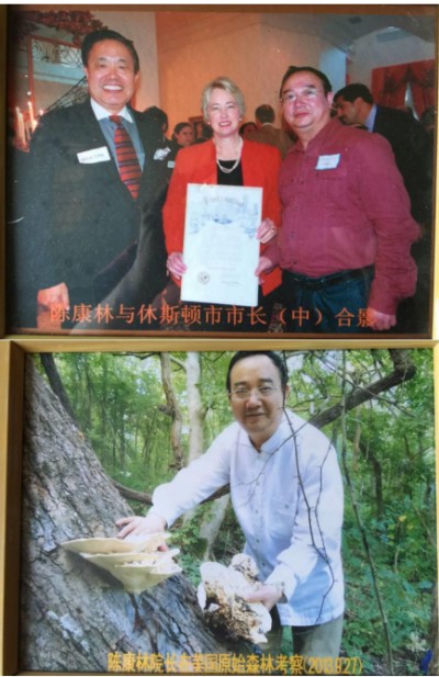 野生药用真菌自然医学体系 非药物疗法