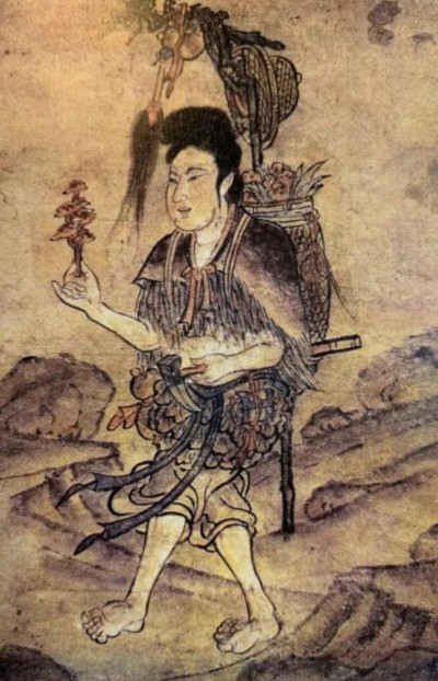 野生药用真菌自然医学体系 非药物疗法