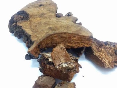 野生药用真菌自然医学体系 非药物疗法