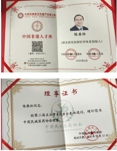 野生药用真菌自然医学体系 非药物疗法